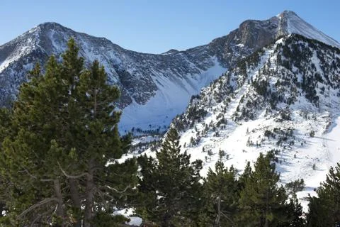 Snow landscape Stock Photos