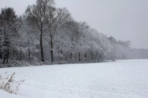 Snow landscape Stock Photos