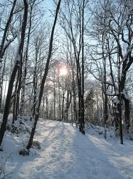 Snow landscape Stock Photos