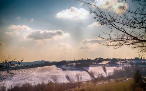 Snow landscape with tree Stock Photos