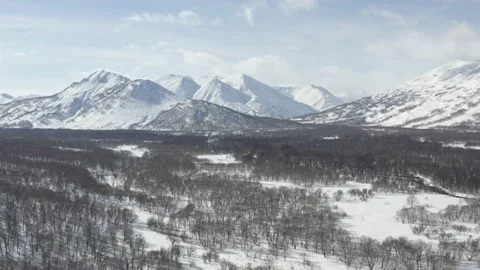 Snow Landscape view Stock Footage 239244883