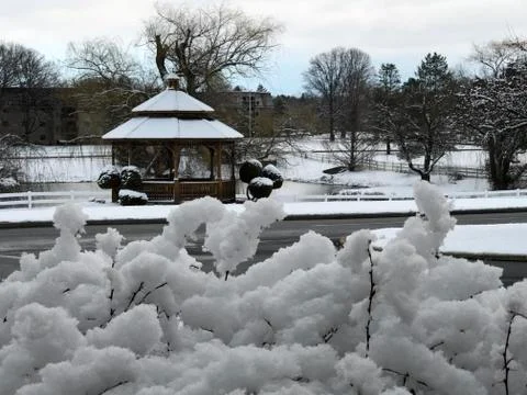 Snow on the lawn Stock Photos