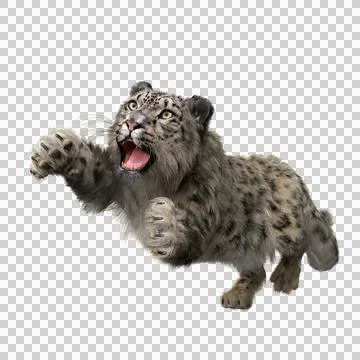 Snow Leopard attacks prey. 3D illustration isolated on transparent background Stock Illustration