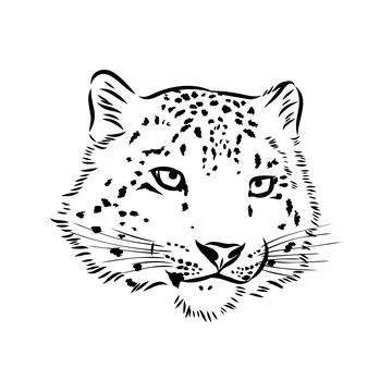 Snow leopard , hand drawn doodle, sketch in pop art style, vector illustratio Stock Illustration