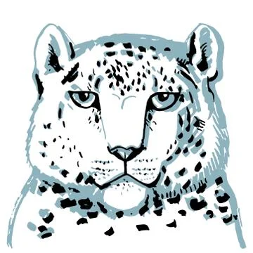 Snow leopard ounce, large cat native to the mountain ranges of Asia ranging f Stock Illustration