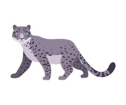 Snow Leopard. Vector illustration on a white background. Stock Illustration