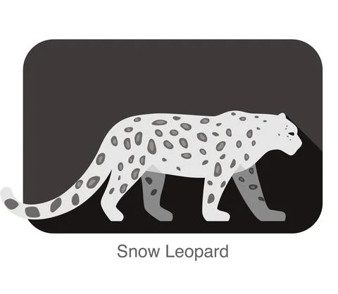 Snow Leopard walking side flat 3D icon design Stock Illustration