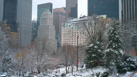 Snow lies on the ground and trees in Central Park, New York, USA. High-rise Stock Footage 331081819
