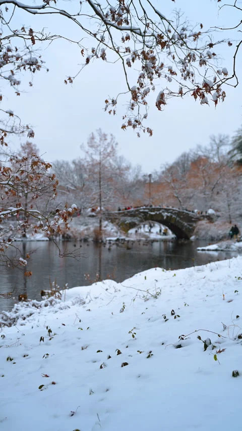 Snow lies on the waterfront and on the tree branches. Lots of people stand at Stock Footage 326230231