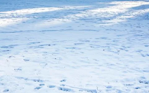 Snow light and shadow Stock Photos