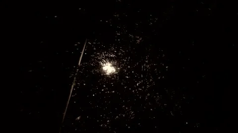 Snow in the light Stock Footage 46775188