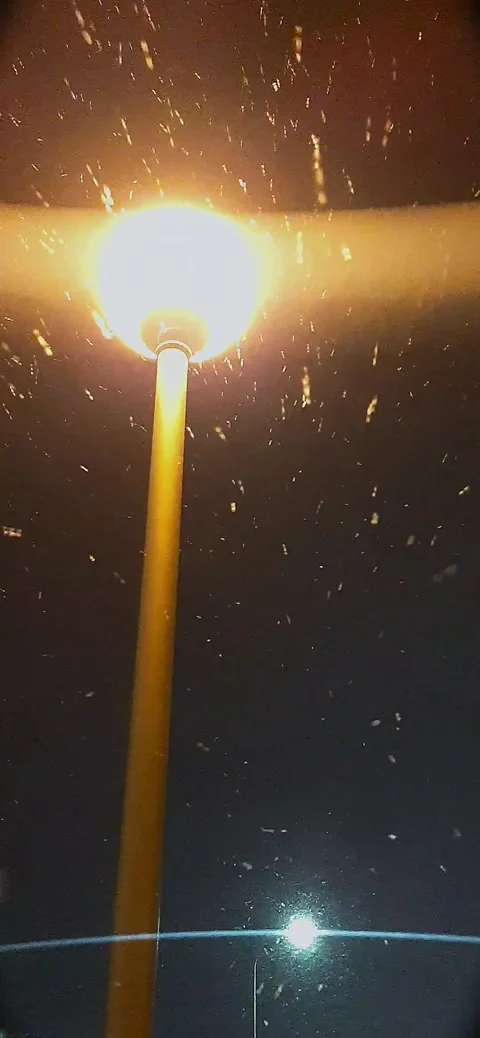 Snow in the light of a lantern Stock Footage 225398771