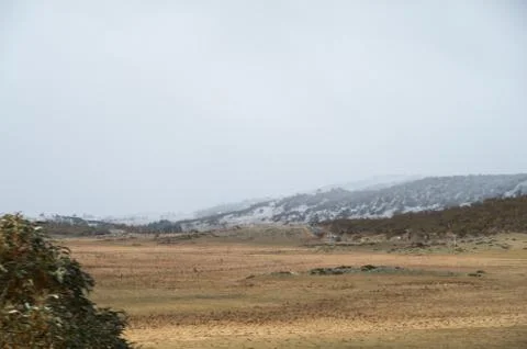 Snow line in fields Stock Photos