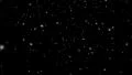 Snow LM03 Loop Falling Animation HD Footage