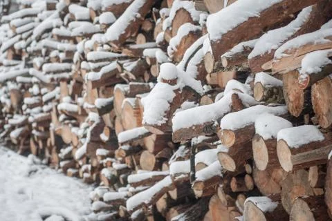 Snow log stack lumber in winter. Woodpile of pine Stock Photos