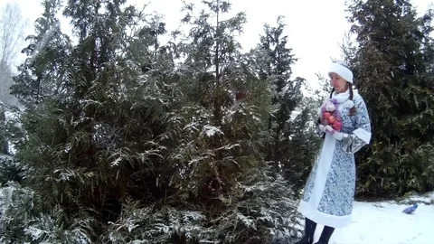 Snow Maiden in forest presents gift in front of pine tree Ukraine Stock Footage 71016364