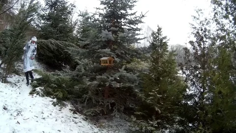 Snow Maiden in forest putting feed in feeder for birds on a firm tree Stock Footage 71014477