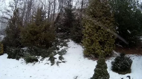 Snow Maiden in forest walking down the hill smiling Ukraine Stock Footage 71013222