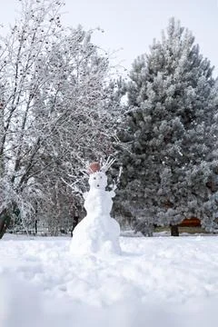 Snow man with tree branches instead of hands and hair on backyard fully covered Stock Photos