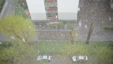 Snow in may Stock Footage 75380819