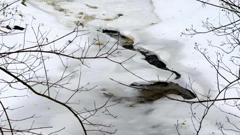 Snow melt on cloudy cold day with stream trickling Stock Footage 337048976