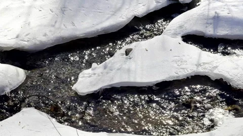 Snow melt in stream with sun sparkling. Stock Footage 336915212