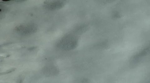 Snow Melt Time Lapse 스톡 동영상 54717274
