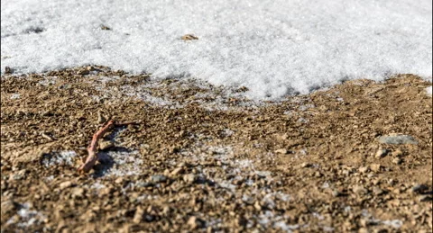 Snow Melt Timelapse Video stock 244592880