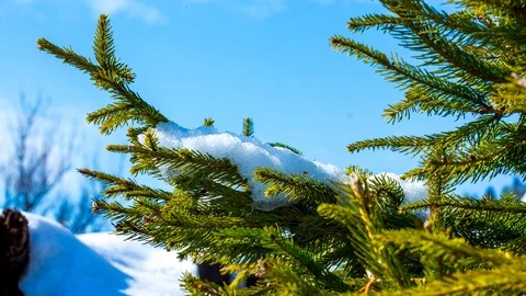 Snow melting 2 Video stock 86550524