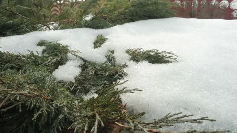 Snow melting close-up Stock Footage 87807044