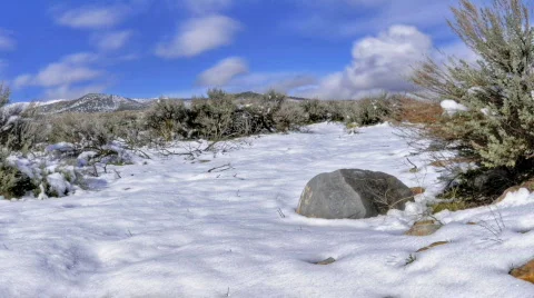 Snow Melting Cropped Stock Footage 401564