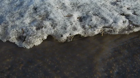 Snow melting Stock Footage 124892862