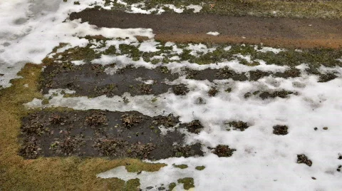 Snow melting on a grass under the spring sun Stock Footage 670553
