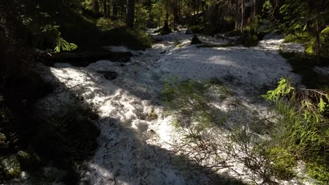 Snow melting on ground in forest with rocks and greenery during daylight hour Video stock 334861674