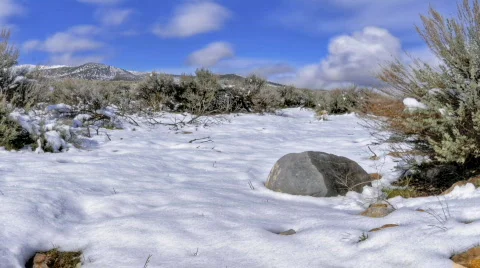 Snow Melting Panning Stock Footage 401557