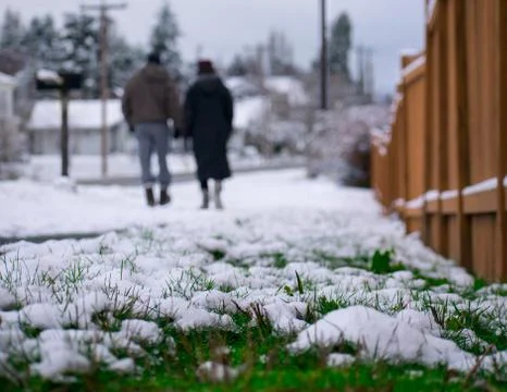 Snow Melting Stock Photos