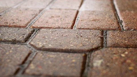 Snow Melting on Sidewalk Stock Footage 85571792