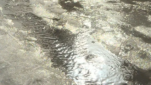 The snow is melting, spring streams are flowing Video stock 293117159