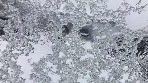 Snow melts and flows down the glass Video stock 105441664
