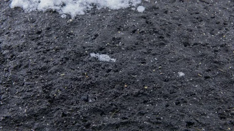 The snow melts and the grass grows out of the earth Stock Footage 85385717