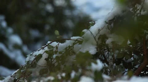 Snow melts 库存影片 20464407