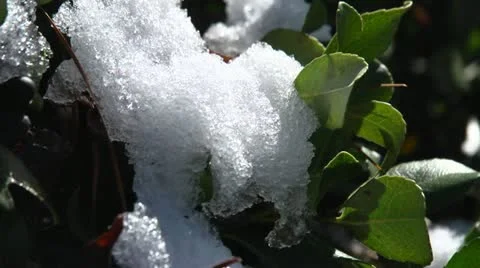 Snow melts Stock Footage 20464430
