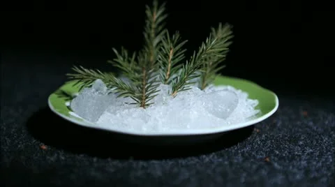 Snow melts Stock Footage 21269827
