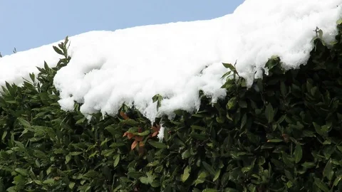 The snow melts Stock Footage 94918138