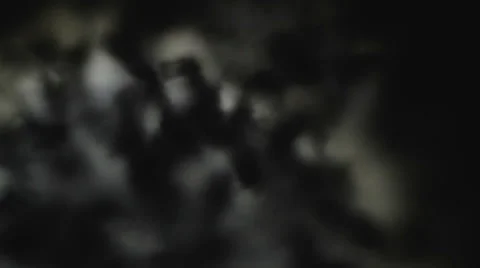 Snow melts under the microscope Stock Footage 60563684