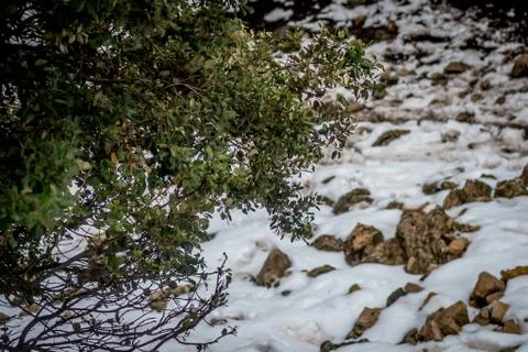 Snow on michlifen Stock Photos