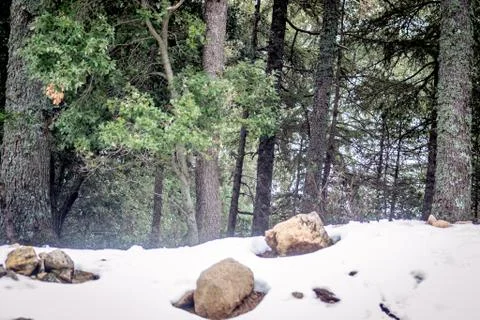 Snow on michlifen Stock Photos
