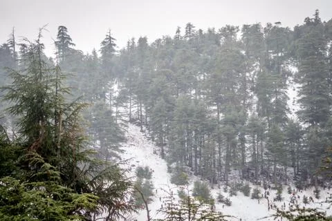 Snow on michlifen Stock-Fotos