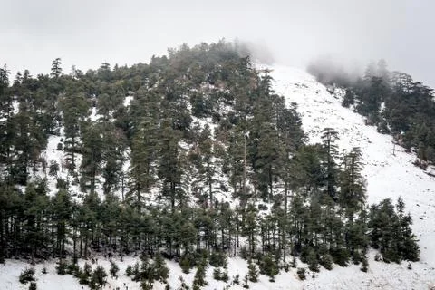 Snow on michlifen Stock Photos