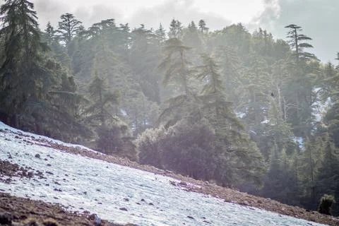 Snow on michlifen Stock Photos